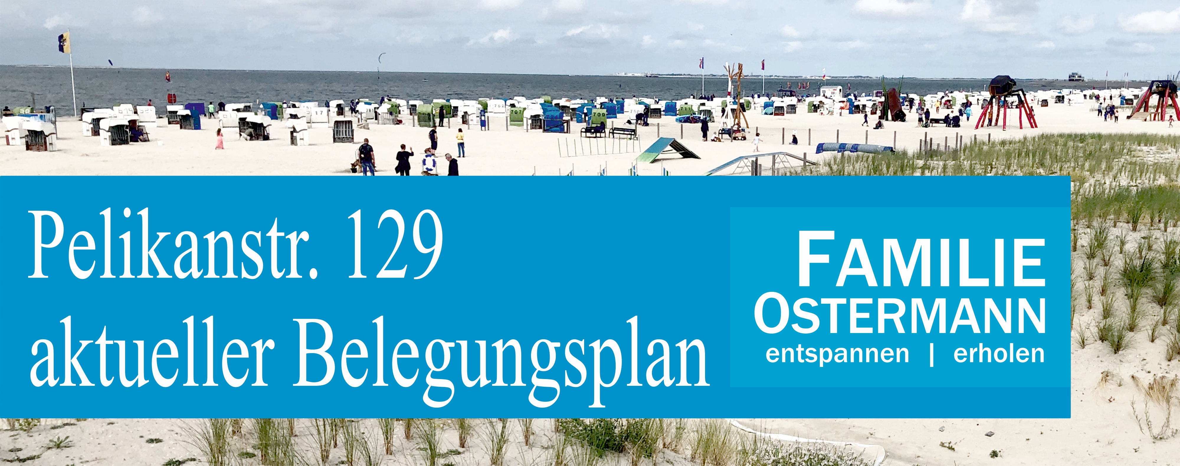 0001 Schaukasten 2022neu webseite Belegungsplan Pel129 4000